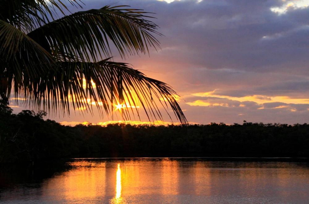 River Wilderness Waterfront Cabins Everglades City Kültér fotó